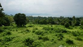 Land for sale in Bo Phut, Surat Thani