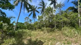 Land for sale in Bo Phut, Surat Thani