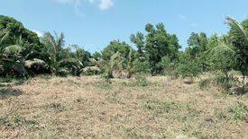 Land for sale in Bo Phut, Surat Thani