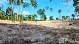 Land for sale in Maret, Surat Thani