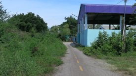 Land for sale in Khao Noi, Prachuap Khiri Khan