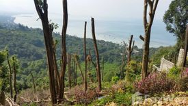 Land for sale in Ang Thong, Surat Thani