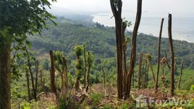 Land for sale in Ang Thong, Surat Thani