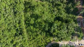 Land for sale in Bo Phut, Surat Thani