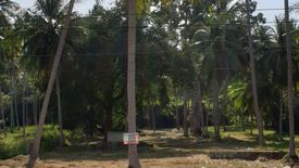 Land for sale in Taling Ngam, Surat Thani