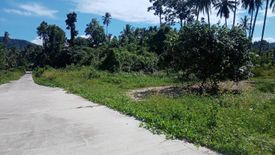 Land for sale in Na Mueang, Surat Thani