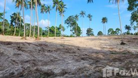 Land for sale in Maret, Surat Thani