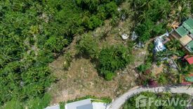 Land for sale in Maret, Surat Thani