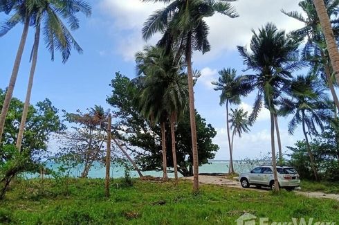 ขายที่ดิน ใน ท่าข้าม, พุนพิน