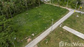 Land for sale in Mae Nam, Surat Thani