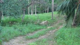 Land for sale in Mae Nam, Surat Thani