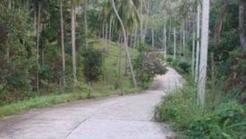 Land for sale in Mae Nam, Surat Thani