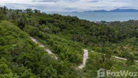 Land for sale in Mae Nam, Surat Thani