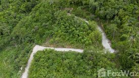 Land for sale in Mae Nam, Surat Thani