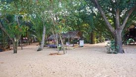 Land for sale in Mae Nam, Surat Thani