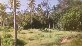 Land for sale in Na Mueang, Surat Thani