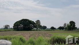 Land for sale in That Thong, Chaiyaphum