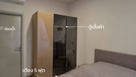 1 Bedroom Condo for rent in XT Ekkamai, Khlong Tan Nuea, Bangkok