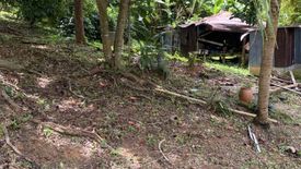 Land for sale in Karon, Phuket