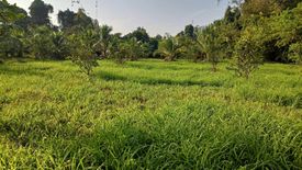 ขายที่ดิน ใน ควนลัง, หาดใหญ่