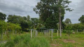 Land for sale in Na Mueang, Surat Thani