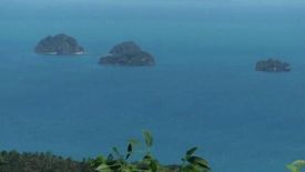 Land for sale in Taling Ngam, Surat Thani