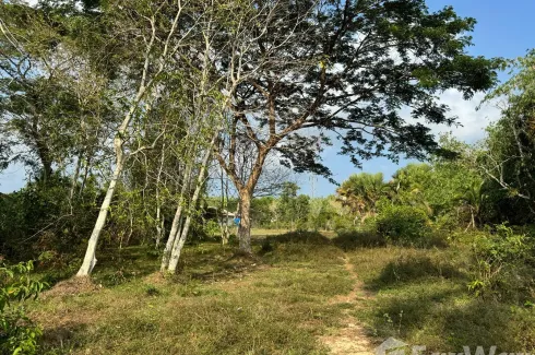 Land for sale in Thep Krasatti, Phuket