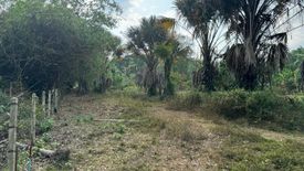 Land for sale in Choeng Thale, Phuket