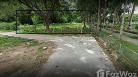 Land for sale in Rop Wiang, Chiang Rai