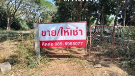 Land for sale in Rop Wiang, Chiang Rai