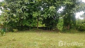 Land for sale in Wiang, Chiang Mai