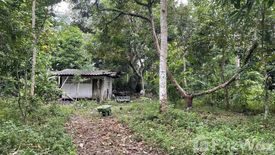 Land for sale in Khao Baisi, Chanthaburi