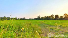 ขายที่ดิน ใน บึงวิชัย, เมืองกาฬสินธุ์