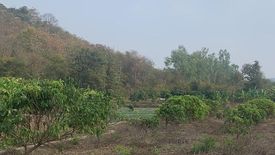 Land for sale in Mueang Chi, Lamphun