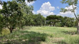 Land for sale in Tha Sai, Chiang Rai