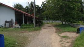 Land for sale in Na Thung, Chumphon