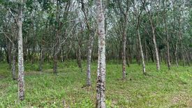 Land for sale in Khuan Phang, Nakhon Si Thammarat