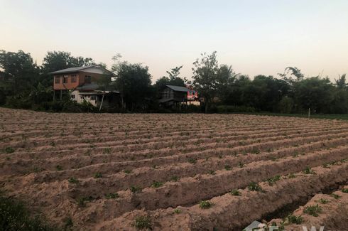 ขายที่ดิน ใน วังสามหมอ, วังสามหมอ