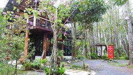 ขายที่ดิน ใน นาหินลาด, ปากพลี
