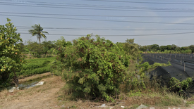 Land for sale in Lan Tak Fa, Nakhon Pathom