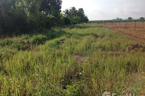 Land for sale in Inthakhin, Chiang Mai