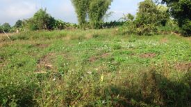 Land for sale in Inthakhin, Chiang Mai