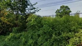 Land for sale in Kriangkrai, Nakhon Sawan