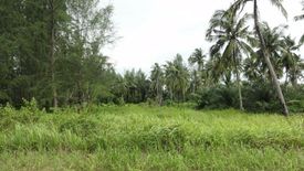 Land for sale in Bang Muang, Phang Nga