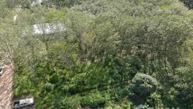 Land for sale in Sai Thai, Krabi