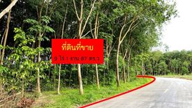 Land for sale in Nong Taphan, Rayong