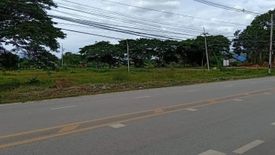 Land for sale in Phu Kradueng, Loei