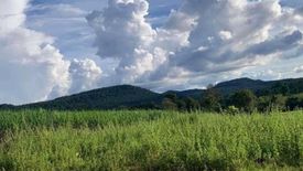 Land for sale in Na Si Nuan, Mukdahan