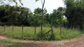 Land for sale in Dong Chen, Phayao