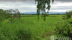 Land for sale in Kut Yom, Chaiyaphum